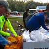 Bassobiker > Horsefarm 100 Flemington Stop photo